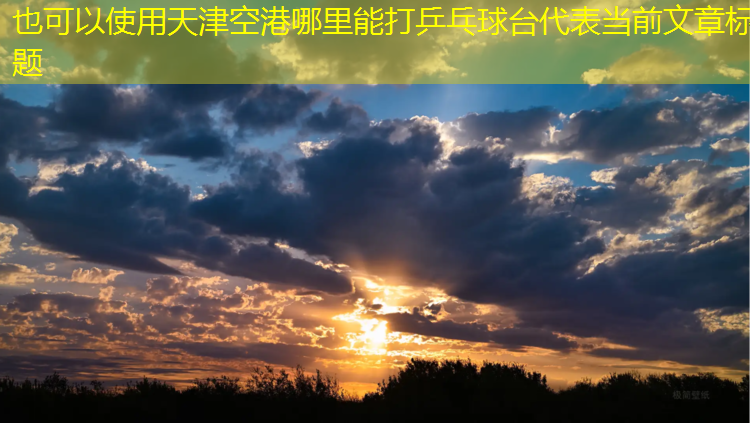 天津空港哪里能打乒乓球台