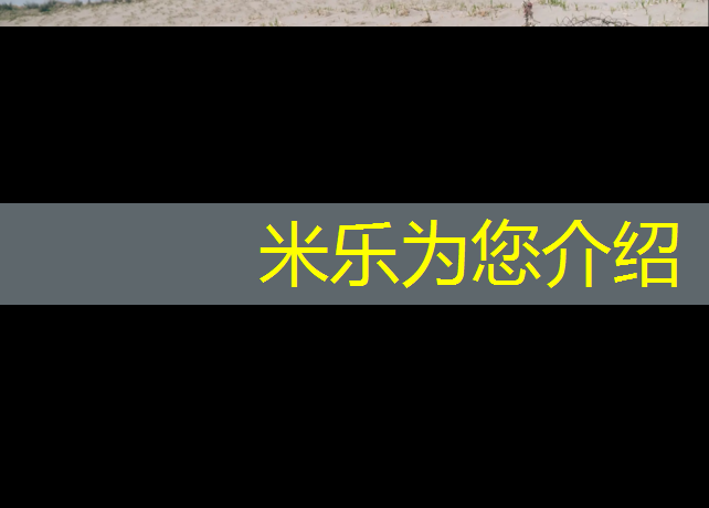 米乐m6官网登录入口：阿克苏塑胶跑道报价单